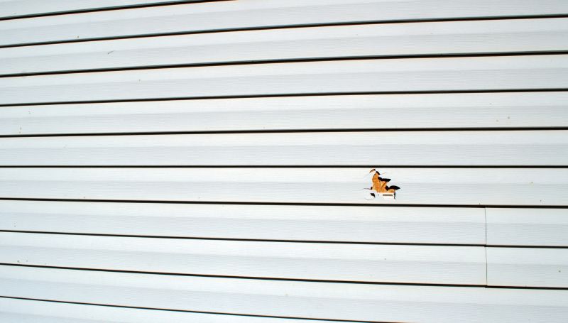 Maintenance Inspection